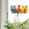 Расписной Попугай Балконное Стекло Украшение и Декор Электростатические Наклейки на Окна