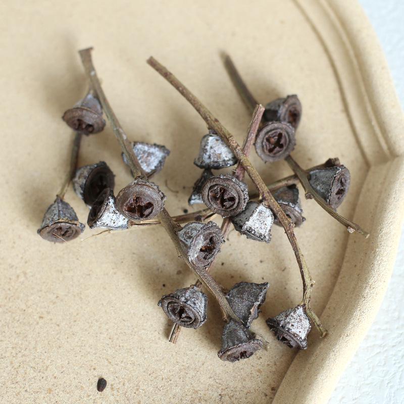 Dried Real Flowers & Materials: Pine Cones, Acorns, Cotton, Adhesives, Sunflowers - DIY Scented Floral Decor & Photography Props
