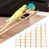 For Lizard Parakeet Wooden Hanging Parrot Climbing Frame Parrot Perch Hamsters Toys Birds Ladders