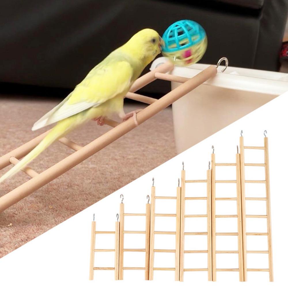 For Lizard Parakeet Wooden Hanging Parrot Climbing Frame Parrot Perch Hamsters Toys Birds Ladders