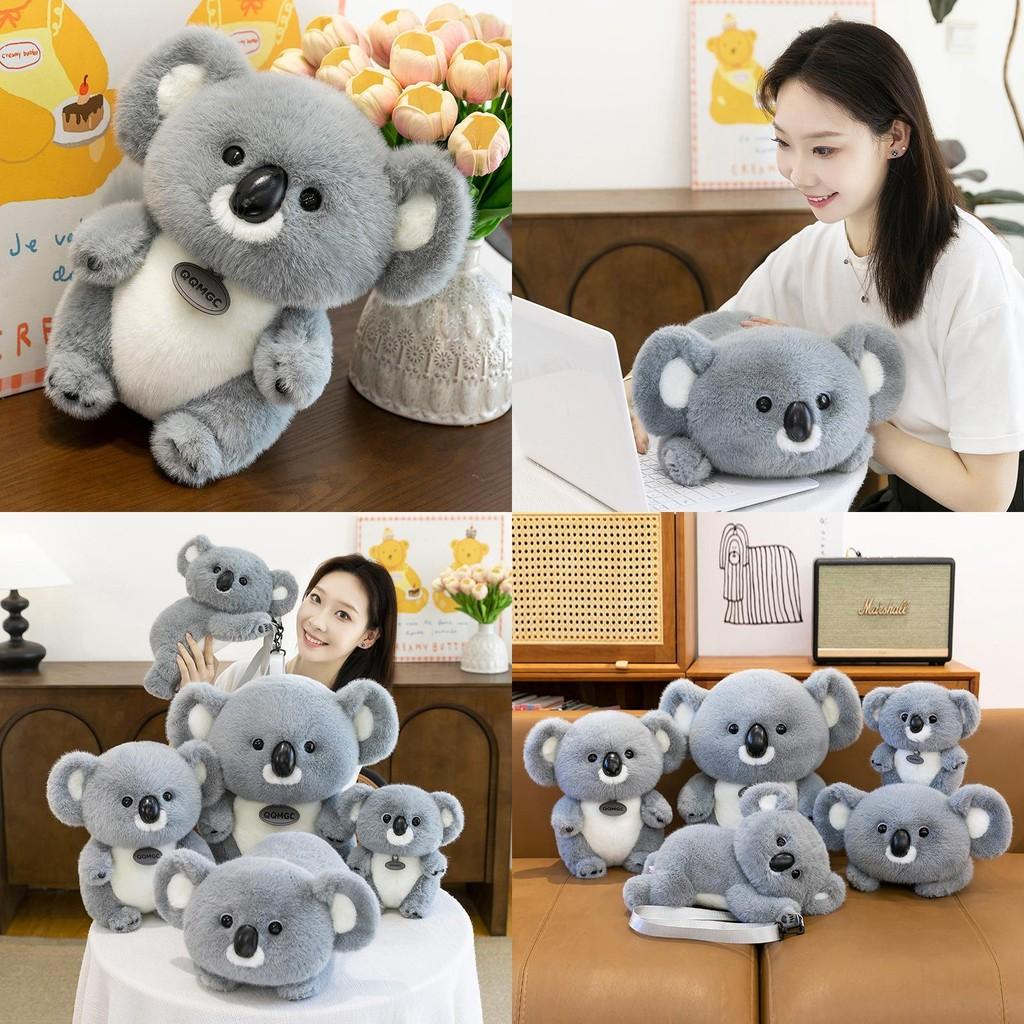 Cute Cartoon Gray Koala Plush Doll Children Toy For Kids Toy Gift And Zoo Souvenir