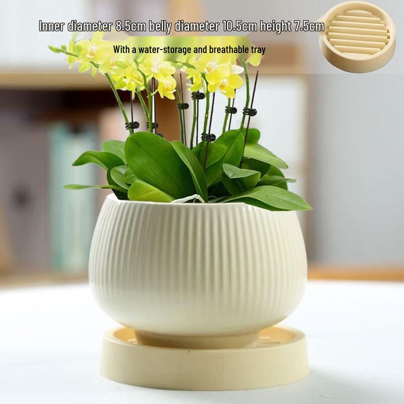 Light Luxury Cloud Ceramic Flower Pot with Tray