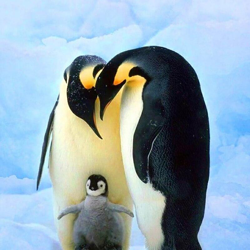 5D Diamond Painting Penguin Full Round Drill Animal Diamond Embroidery Mosaic Rhinestone Home Decor Wall Art Gift