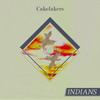 7-дюймовая пластинка INDIANS - Cakelakers AD3253 4AD 2012 US Рок Б/У