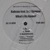 12-дюймовая пластинка RAHSUN Whats My Name We Dont Stop NFOC001 Ruggett Beats 2001 Рэп Хип-Хоп R&B Б/У