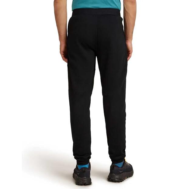 Icebreaker Джоггеры Merino Blend 300 RealFleece™ Descender