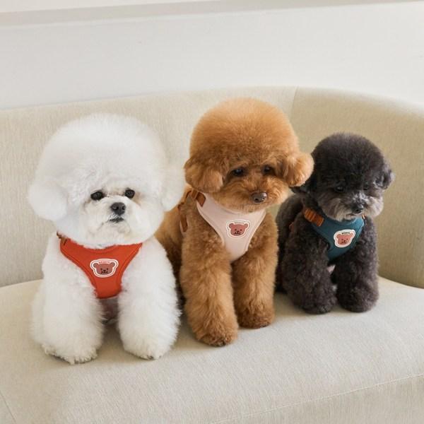 Шлейка для собаки Benny's в одно касание, оранжевая