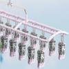 Stainless Steel 20 Clips Sock Drying Rack Non-slip Unmarked Underwear Drying Rack  Indoor