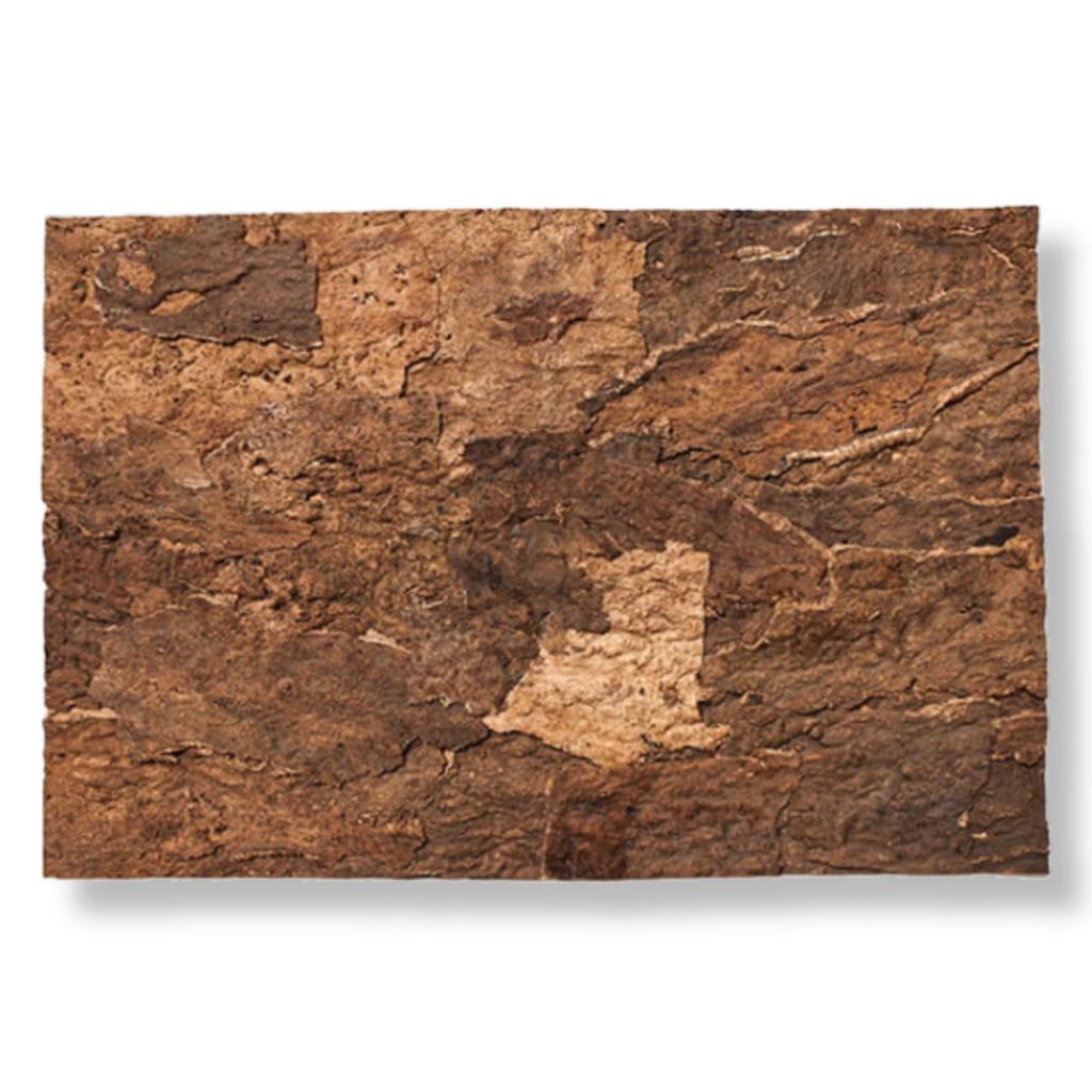 BioVirgin Cork Background Brown 60x30cm cork background for terrariums
