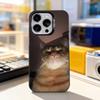 Забавный чехол для телефона с кошачьими мемами для iPhone 11, 12, 13, 14, 15, 16, 17, Pro, Max, Plus, E, Air, Mini, матовый черный IMD.