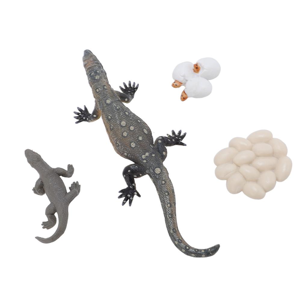 4 Pcs Lizard Life Cycle Toy PVC Realistic Educational Reptile Animal Growth Cycle Toy