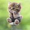 2D Acrylic Cat Bobblehead Bouncing Cat Decoration Cartoon Cat Ornament