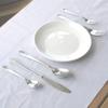 Nagao Antibacterial Dinner Cutlery 5 Stainless Made In Japan Set, Pieces, 18/8 Steel, Copper-Containing,