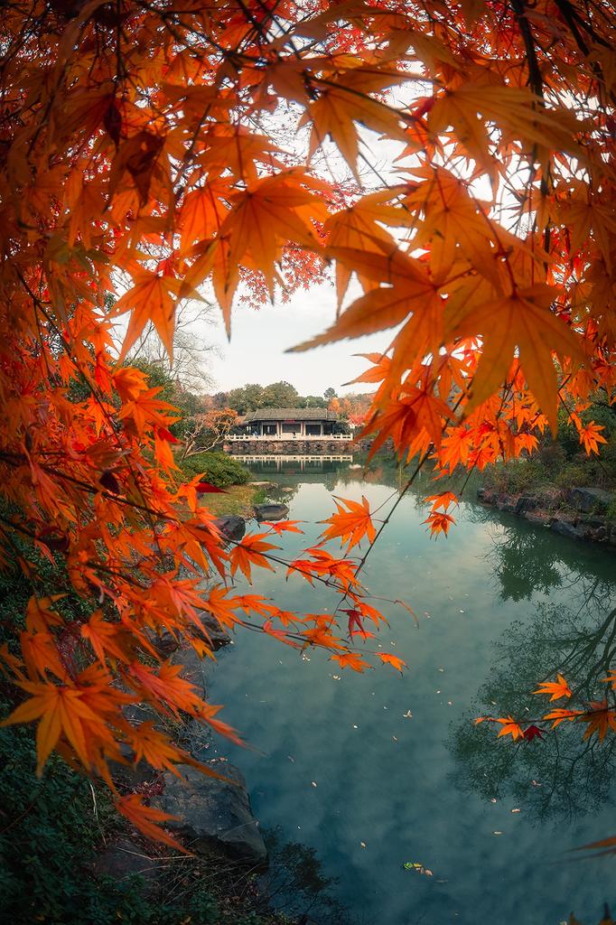 7Artisans II ED Z Mount Nikon Z Черный объектив 7.5mm F2.8 FISH-EYE APS-C