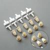 High Quality Trim Clips Plastic Push 20PCS Attachment Button