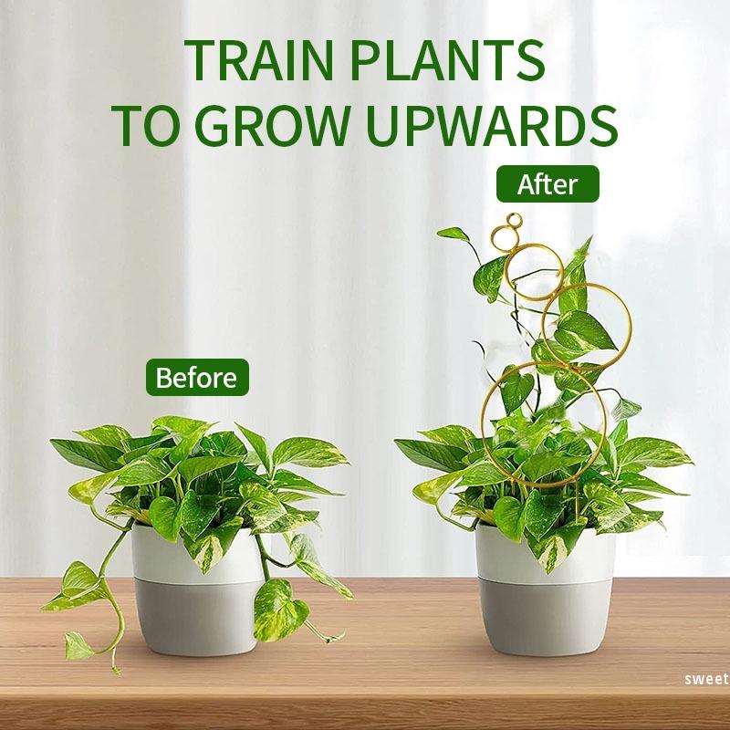 Садовое растение опора для лазания каркас креативная подпорка для растений металлическая фиксирующая штанга для растений шпалера для лазания лиан кронштейн для горшечных цветов