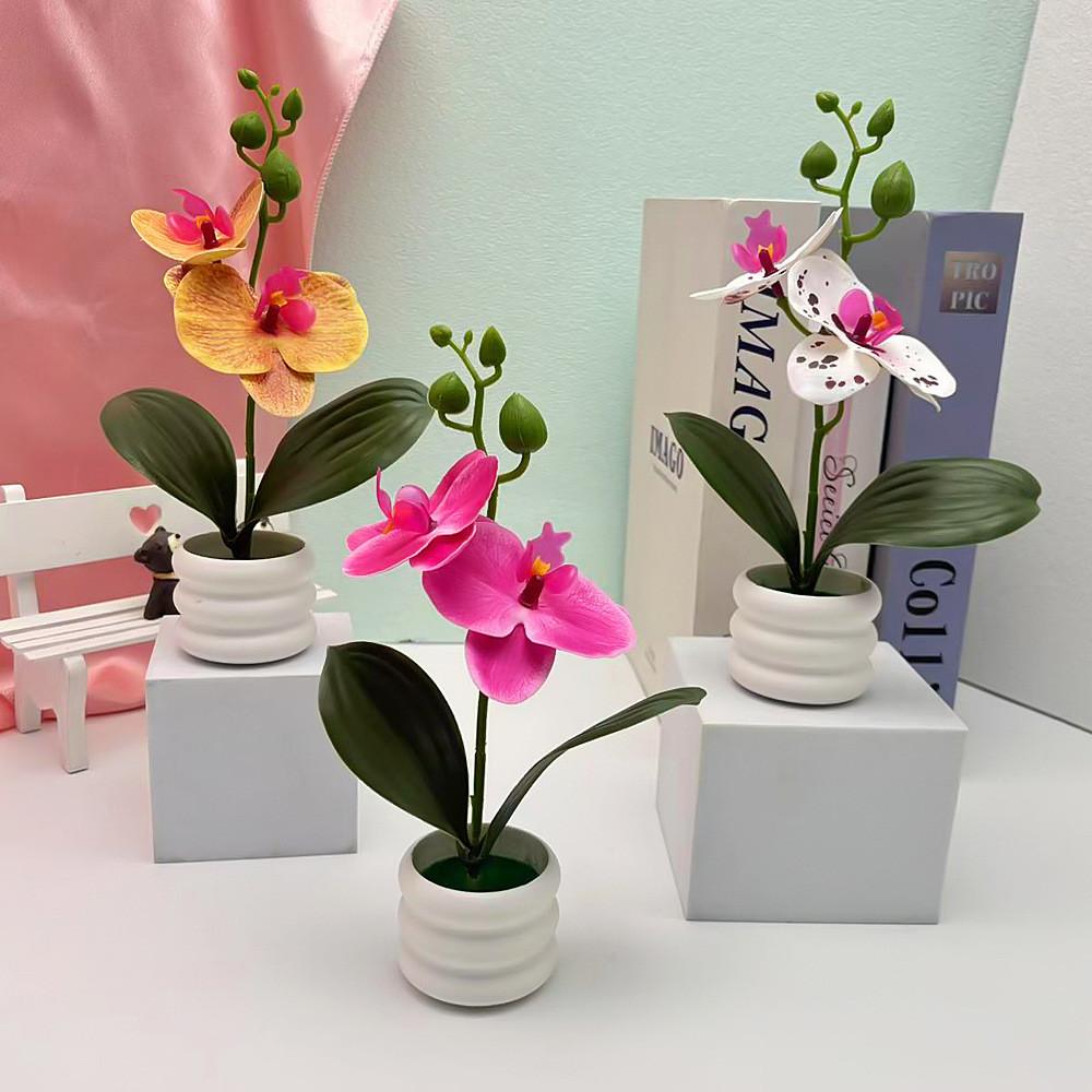 Potted Faux Phalaenopsis Flower For Event Decor And Indoor Embellishment Home