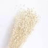 Preserved Rabbit Tail Grass Bouquet - DIY Dried Flower Decoration with Pampas Grass