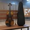 Full Size Violin Beginner Set Portable for Lessons
