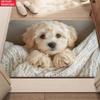 Funny Frenchie Floor Mat You Will Never Be Alone Text Welcome Doormat for Living Room Balcony Bedroom Entrance Area Carpet