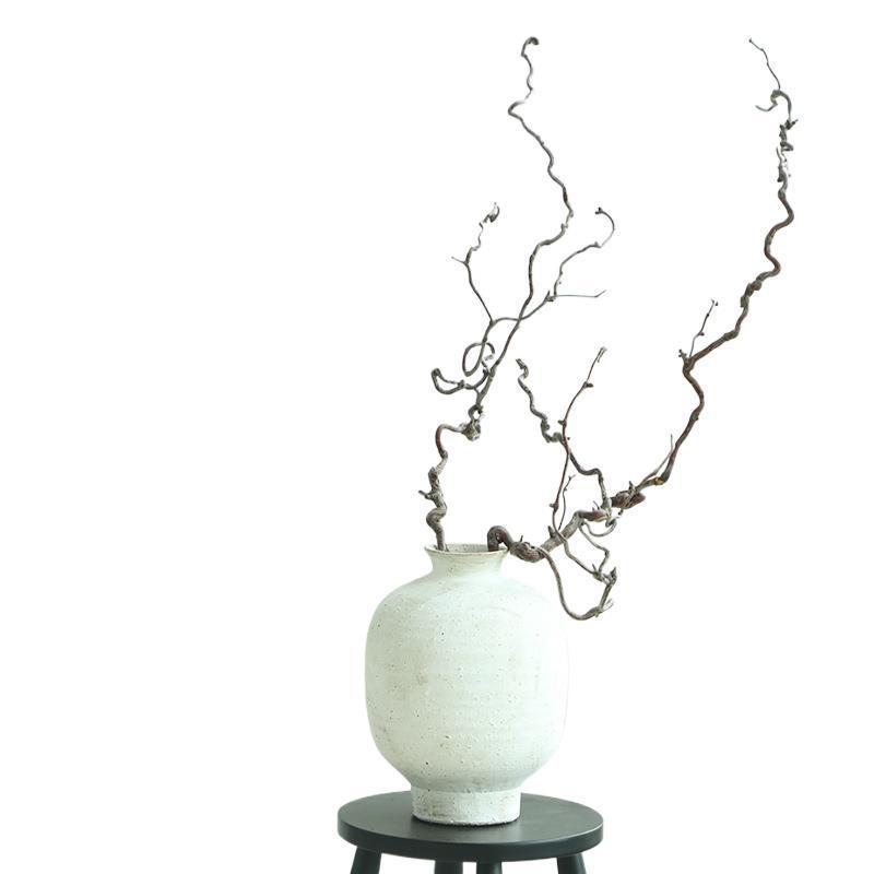 Изогнутые ветки зизифуса (ююбы) для ваби-саби икебаны и дзен-искусства