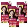 Elastine Salon De Color & Gray Hair Dyeing Cream, Wine Brown, 3 Packs