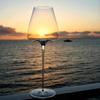 1pc Exquisite Ultra-thin Concave-Convex Wine Glass Crystal Glass for Quick Decanting Burgundy and Bordeaux Glasses