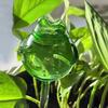 Self-Watering Globes Self-Watering Spikes Frog Type Automatic Flower Waterer Flower Slow Drip Watering System Automatic Plant