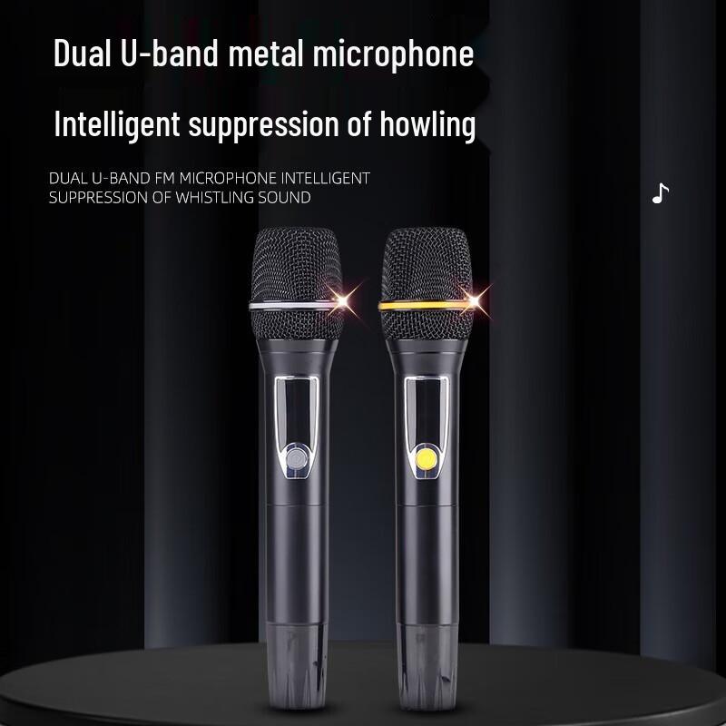 SAST SW-7 Home Theater Karaoke System