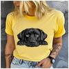 Unisex Funny Confession Print Casual T-Shirt 100% Polyester Loose round Neck Short Sleeve Fashion Summer Top