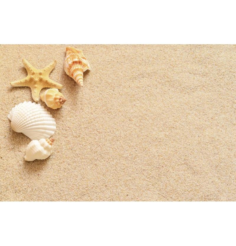 Tropical Beach Backdrop Decoration Seashell Starfish Summer Vacation For Pool Party Celebration Backgrounds For Photographs