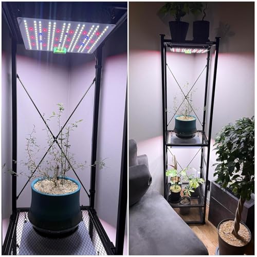 Светодиодная панель Niwuno для выращивания растений с UVA+IR для комнатных растений, агавы, клубневых корней, аквариумов, суккулентов, папоротников Platycerium и аквариумов (Aurora Q-Pad,