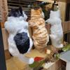 Симуляция Большой Кошки Милый Котенок Кошки Детские Подарки на День Рождения Креативные Имитация Кошки Украшения Аксессуары для Украшения Дома