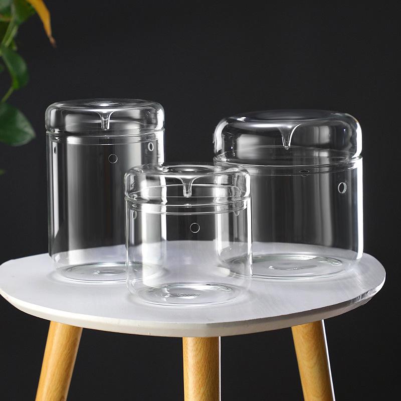 Dew Collection Mini Ecosystem: Moss Terrarium Glass Cover Decor