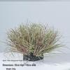 Artificial Reed & Foxtail Grass Bundles for Outdoor Decoration and Landscaping