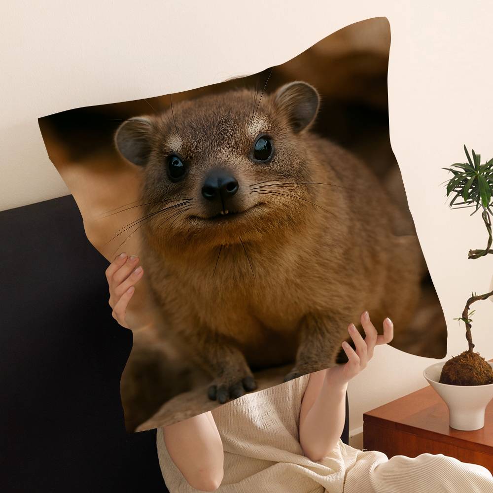 Rock Hyrax Animal Cushion Cover Pillow Cover Decor Pillowcase Printed Cushion Case for Couch