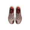 (WMNS) Женские кроссовки Nike Pegasus Trail 4 GTX 'Diffused Taupe' DJ7929-200