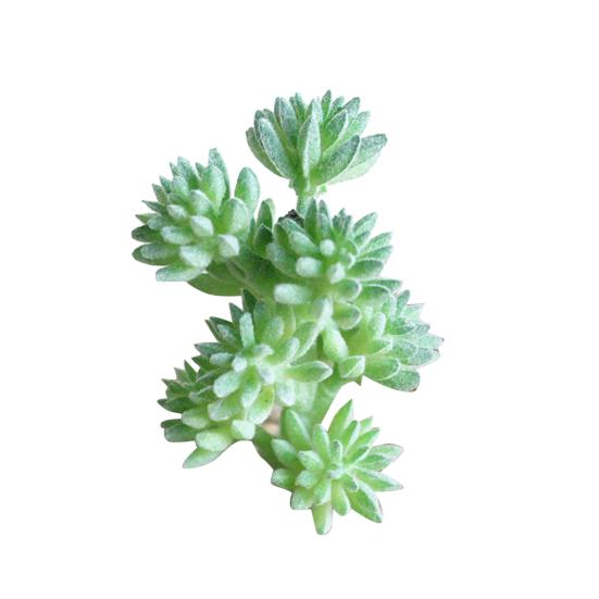 1Pc Artificial Succulent Plant Fake Mini DIY Craft Home Office Hotel Decoration