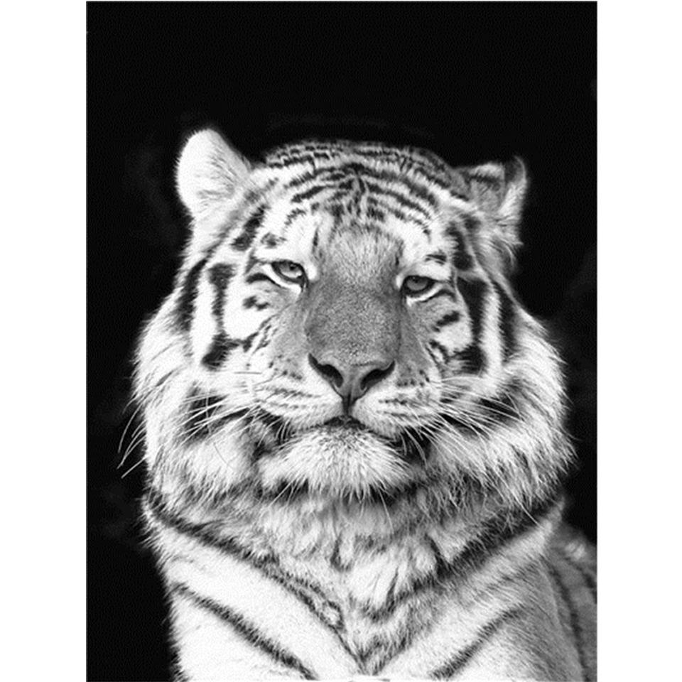 Diamond Painting "Tiger" Animal 5D DIY Full Round Diamond Embroidery Kit Rhinestone Cross Stitch Decoration Mosaic Picture Gift
