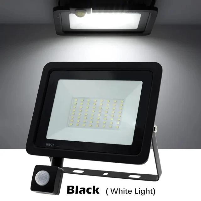 LED Flood Light 100W 50W 30W 20W 10W DC 220V Outdoor IP66 Waterproof Reflector Spotlight Street Light Wall Lamp Garden Lighting