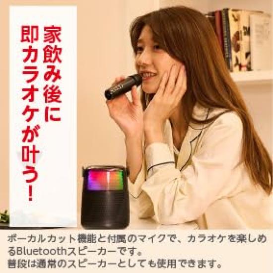 LITHON Yoidore Speaker Microphone Perfect for everyday use as a or for karaoke after a night out at Microphone and speaker set with vocal cut & SP-43.