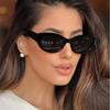 Fashion Small Cat Eye Sunglasses Vintage Brand Designer Eyeglasses Female Multi Color Shades Eyewear Uv400