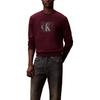 Calvin Klein Удобная универсальная многослойная модная толстовка с буквенным принтом Мужская толстовка 4RE270G-XV6