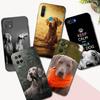 Черный чехол из ТПУ для Realme 7i 8i 9 Pro Plus 9i C12 GT Neo2 Narzo 20 30A 50A 50i weimaraner