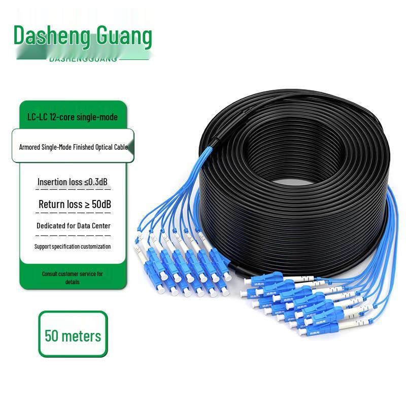 Dasheng Optic Outdoor Armored Single-mode LC-LC Fiber Optic Cable
