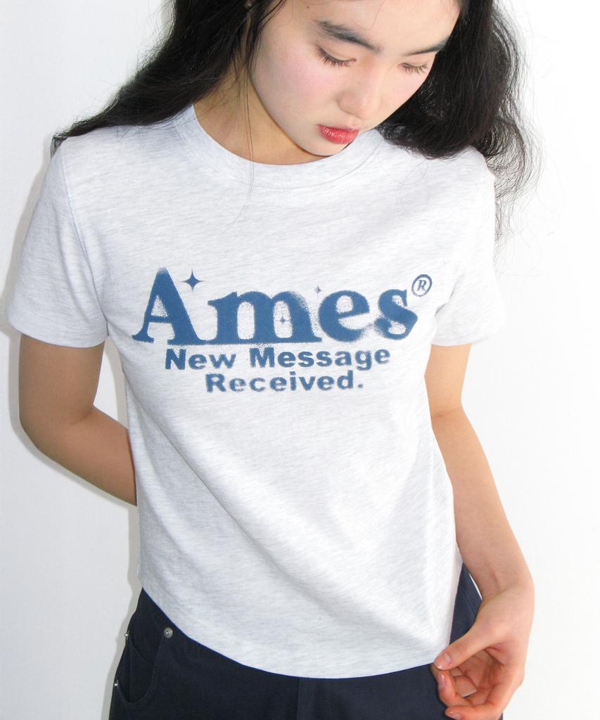 AMES-WORLDWIDE Укороченная футболка с округлым низом Светло-серая