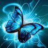 5D Diamond Embroidery Butterfly Cross Stitch DIY Diamond Painting Full Diamond Scenery