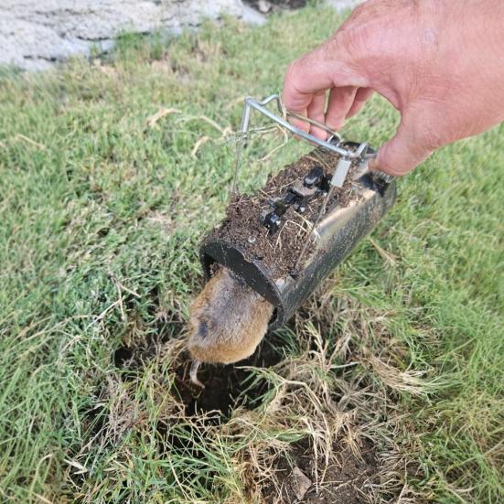 Gopher Trap Rodent Control Tunnel Reusable No Bait Needed Sustainable Mole Trap for Outdoor Farmhouse Rat Elimination