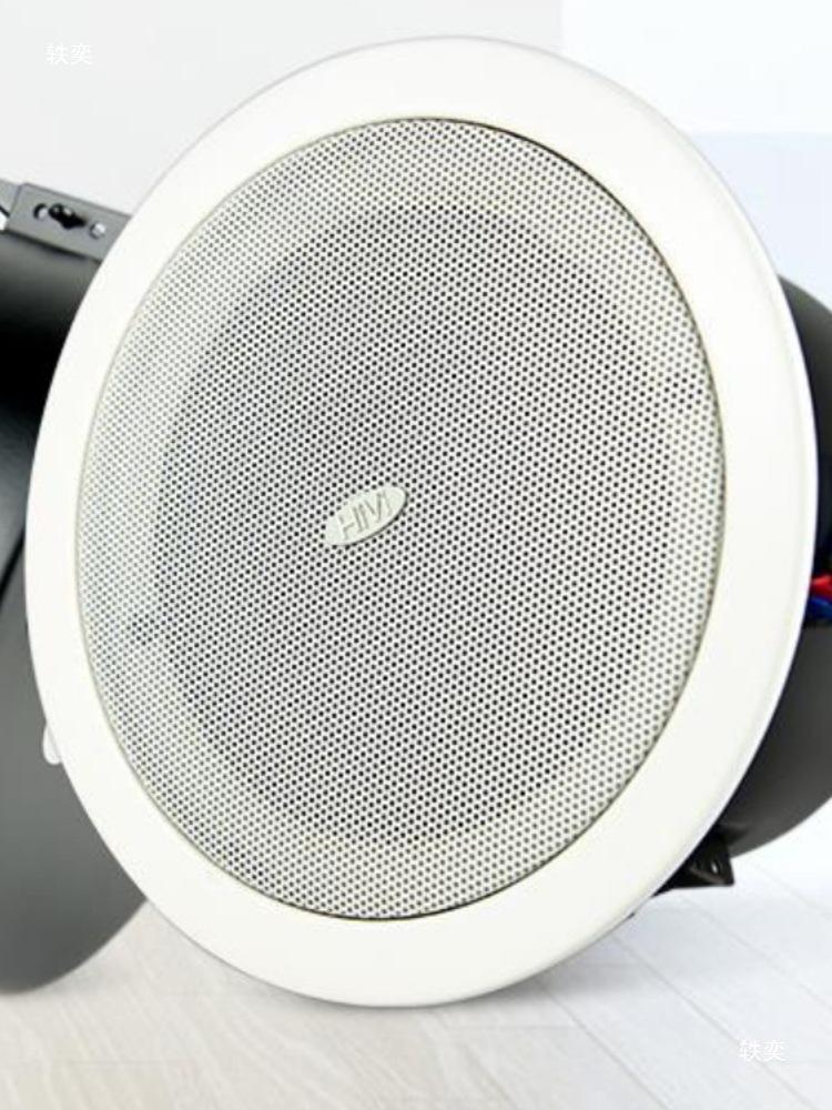 Hivi TD201/TD202/TD205/TD206 In-Ceiling Acoustic Speaker