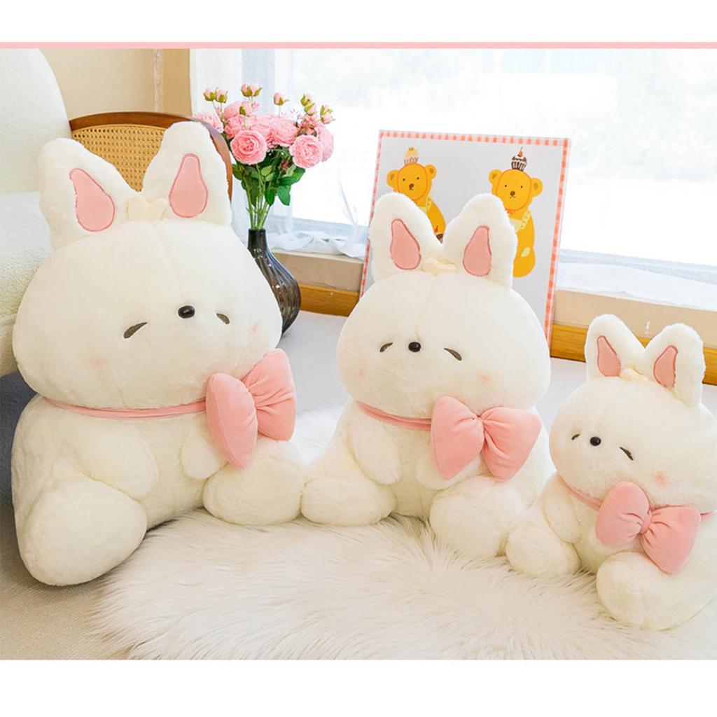 Plush Toys, Cute And Perfect Birthday Gifts For Friends And Classmates, Graduation Gifts
